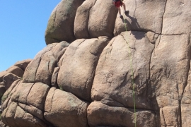 saguaro-camp-cedarbrook (103)