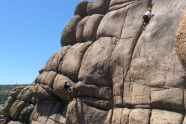 saguaro-camp-cedarbrook (105)