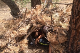 saguaro-camp-cedarbrook (11)