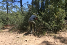 saguaro-camp-cedarbrook (115)