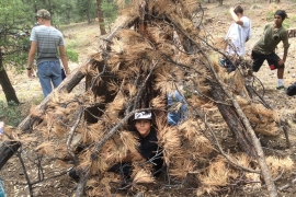 saguaro-camp-cedarbrook (12)