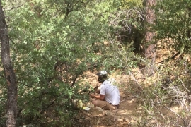 saguaro-camp-cedarbrook (121)