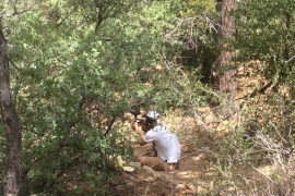 saguaro-camp-cedarbrook (122)