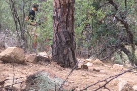 saguaro-camp-cedarbrook (124)