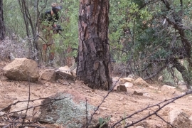saguaro-camp-cedarbrook (125)