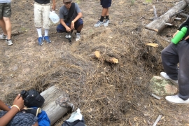 saguaro-camp-cedarbrook (18)