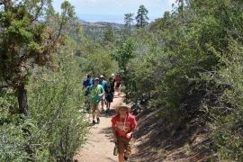 saguaro-camp-cedarbrook (57)