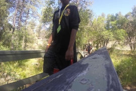 saguaro-camp-cedarbrook (73)