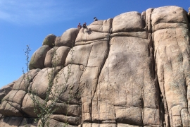 saguaro-camp-cedarbrook (84)