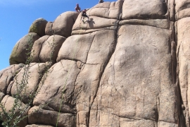 saguaro-camp-cedarbrook (85)