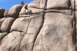 saguaro-camp-cedarbrook (86)